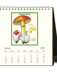Calendario Escritorio 2026 - Hongos & Champiñones (Foraging)