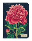Libreta "Botany" - Composición