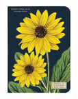 Libreta "Botany" - Matemáticas