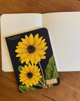 Libreta "Botany" - Matemáticas