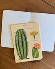 Libreta "Cactus" - Croquis