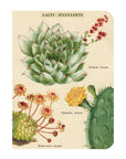 Libreta "Cactus" - Composición