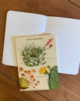Libreta "Cactus" - Composición