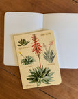 Libreta "Cactus" - Matemáticas