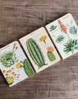 Libreta "Cactus" - Matemáticas