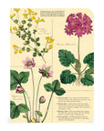 Libreta Pocket "Herbarium" - Croquis