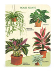 Libreta Pocket "Houseplants" - Matemáticas