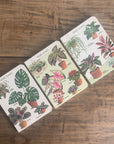 Libreta Pocket "Houseplants" - Matemáticas