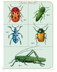 Libreta Pocket "Insectos" - Croquis