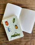 Libreta Pocket "Insectos" - Croquis