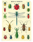Libreta Pocket "Insectos" - Composición