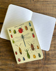 Libreta Pocket "Insectos" - Composición