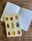 Libreta Pocket "Insectos" - Matemáticas
