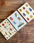 Libreta Pocket "Insectos" - Matemáticas
