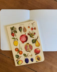 Libreta Pocket "Le Jardin" - Matemáticas