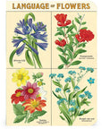 Libreta Pocket "Language of Flowers" - Croquis