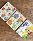 Libreta Pocket "Language of Flowers" - Matemáticas