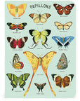 Libreta Pocket "Mariposas" - Croquis