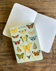 Libreta Pocket "Mariposas" - Croquis