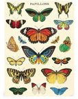 Libreta Pocket "Mariposas" - Matemáticas