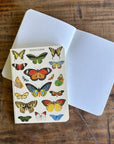 Libreta Pocket "Mariposas" - Matemáticas
