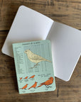Libreta Pocket "Pájaros" - Croquis