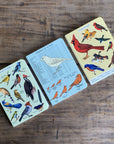 Libreta Pocket "Pájaros" - Croquis