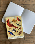 Libreta Pocket "Pájaros" - Matemáticas