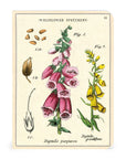 Libreta Pocket "Wildflowers 1" - Croquis