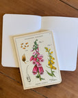 Libreta Pocket "Wildflowers 1" - Croquis