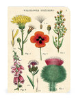 Libreta Pocket "Wildflowers 1" - Composición