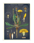 Libreta Pocket "Wildflowers 1" - Matemáticas