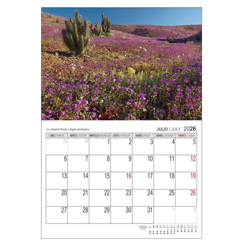 Calendario Pared 2026 - Chile