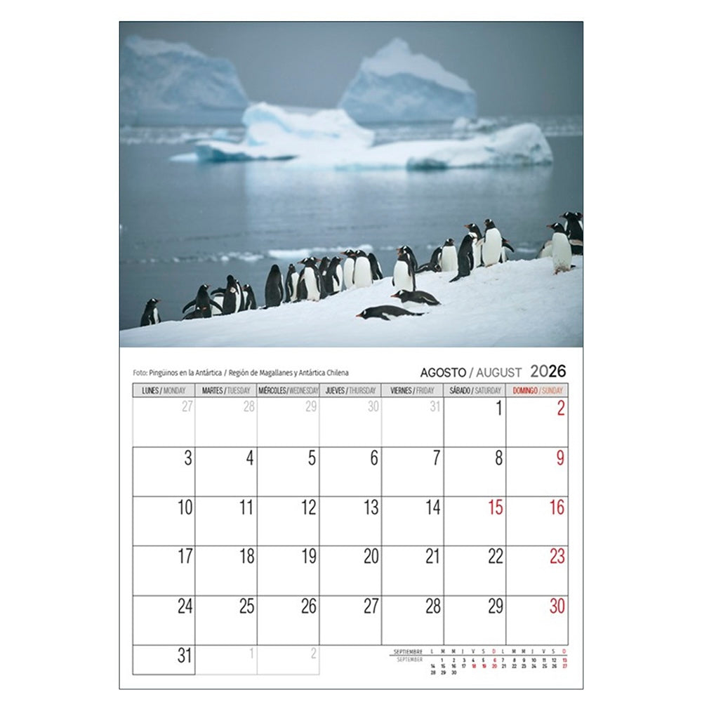 Calendario Pared 2026 - Chile