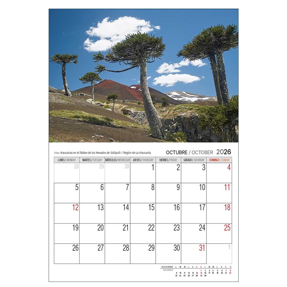 Calendario Pared 2026 - Chile