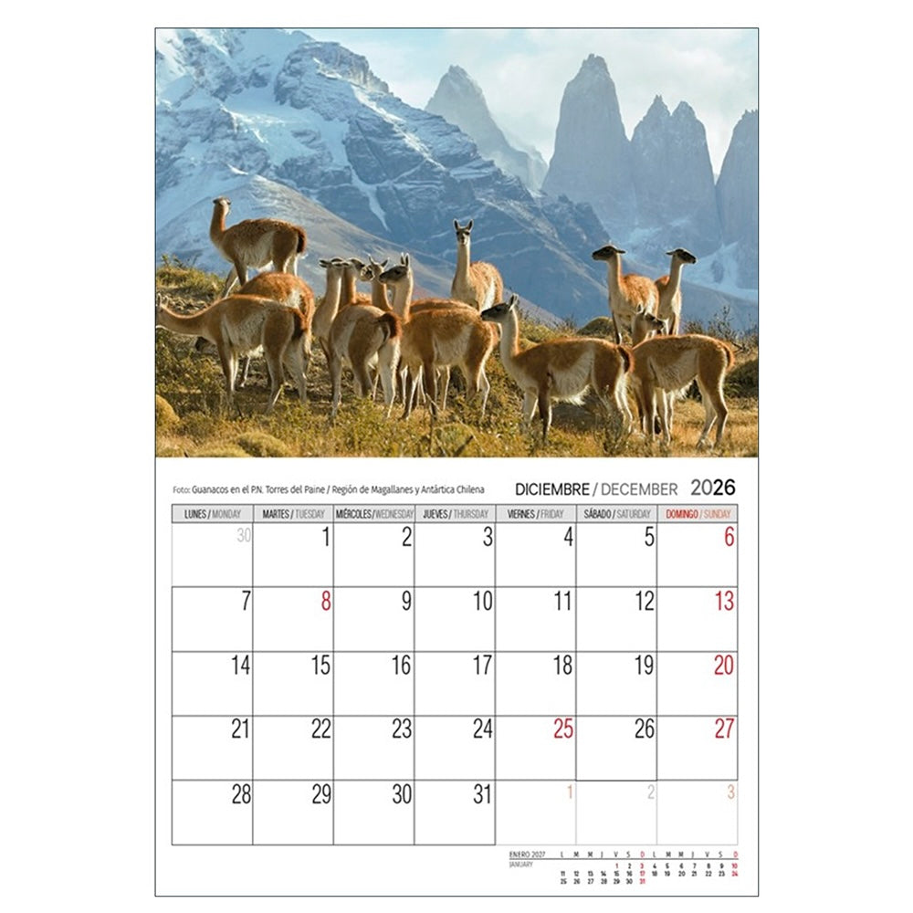 Calendario Pared 2026 - Chile
