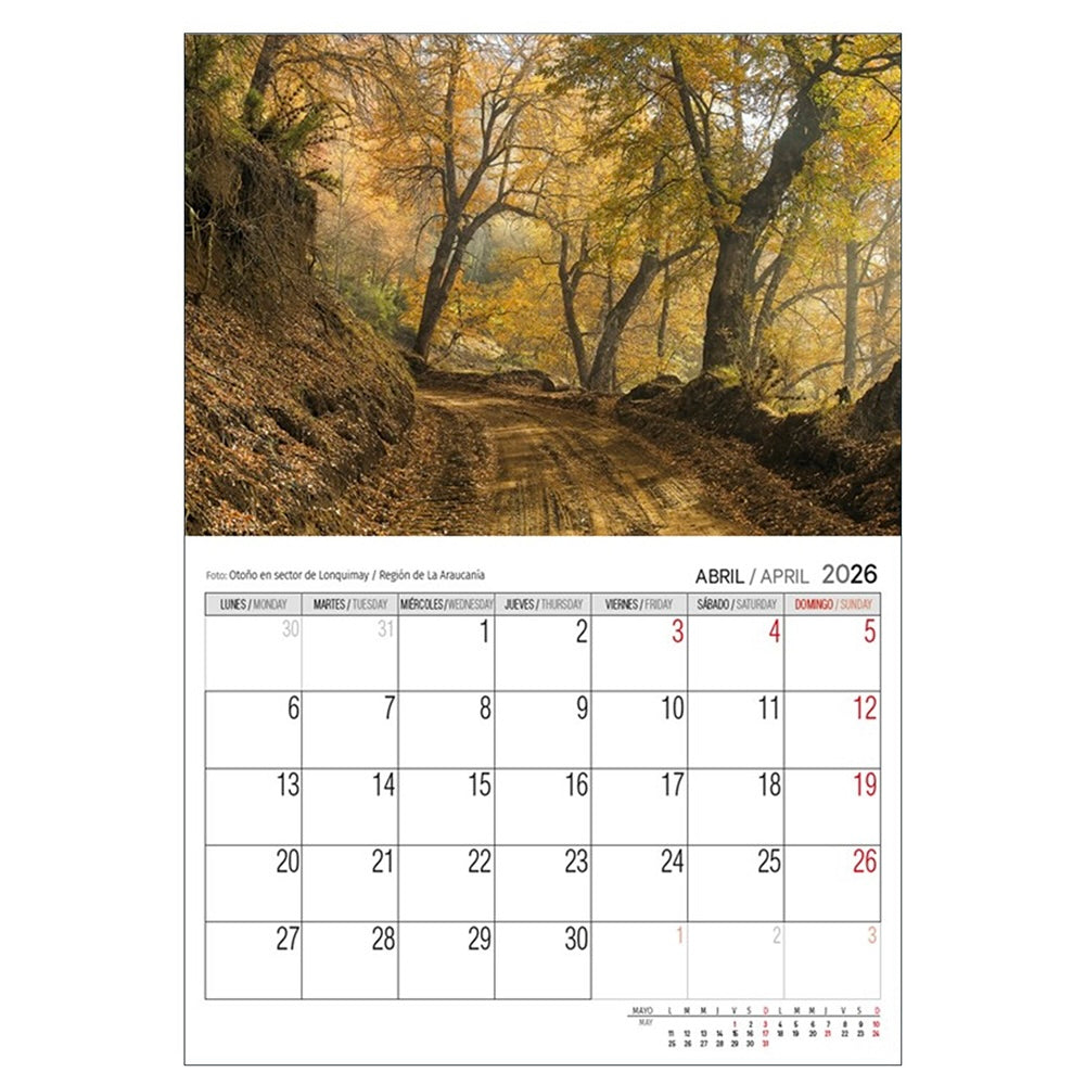 Calendario Pared 2026 - Chile