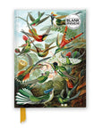 Libreta Mediana - Haeckel Picaflores (Croquis)