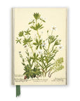 Libreta Mediana - Cowan Stitchworts (Composición)