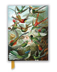 Libreta Mediana - Haeckel Picaflores (Composición)