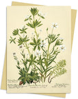 Tarjeta - Cowan Stitchworts