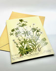 Tarjeta - Cowan Stitchworts