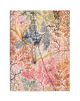 Libreta Midi Tapa Dura - Kilburn Anemone