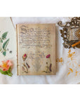 Libreta Mini Tapa Dura - Mira Botanica: Flemish Rose