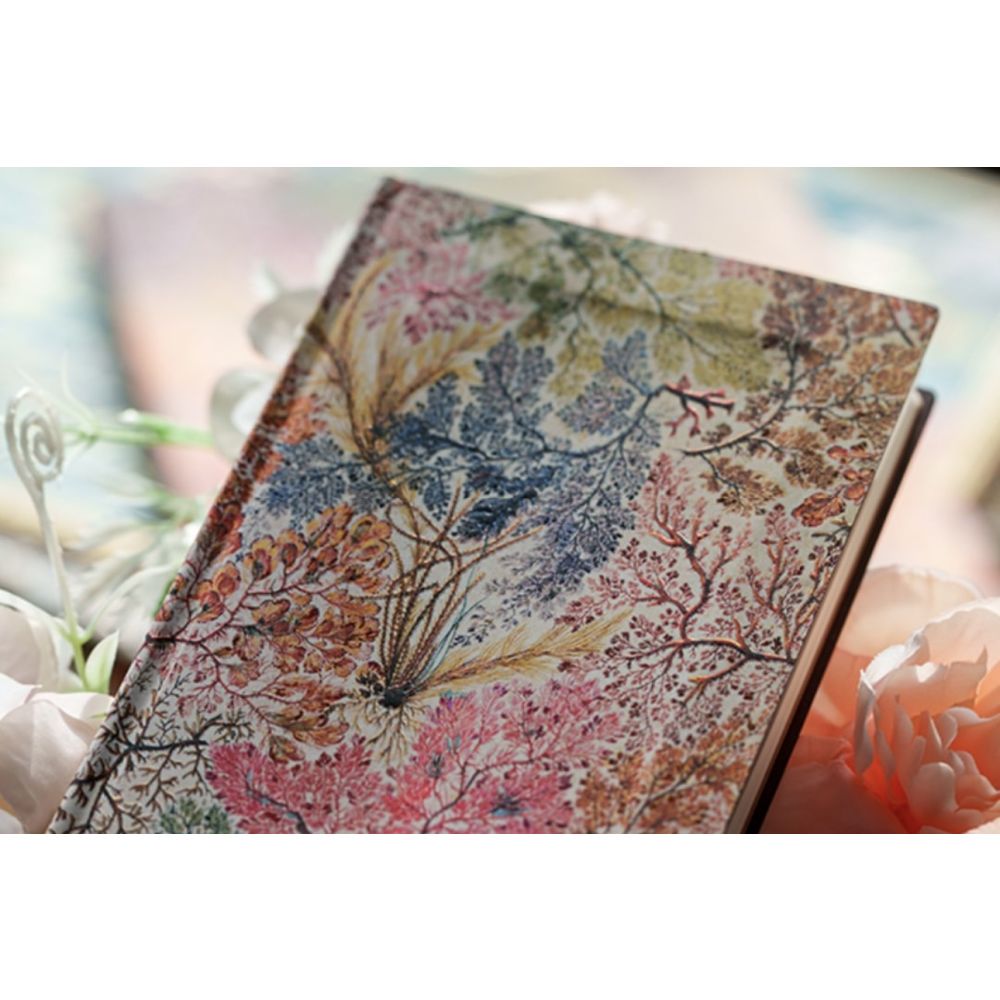 Libreta Mini Tapa Dura - Kilburn Anemone