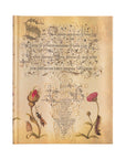 Libreta Ultra Tapa Dura - Mira Botanica: Flemish Rose